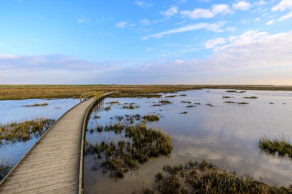 Die Landschaft des Wattenmeers