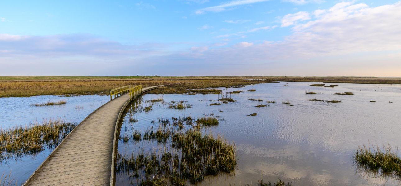 Die Landschaft des Wattenmeers