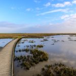 Die Landschaft des Wattenmeers